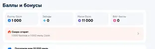 333.webp