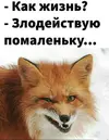 1.webp