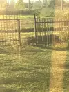 2024-07-01 05-34-48.webp