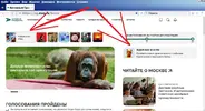 1.webp