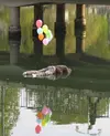 Screenshot_26.webp