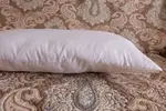 DSCF6312.webp