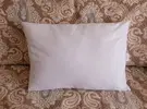 DSCF6309.webp