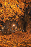 75fb3410864a0d787b68275c050b94da.gif