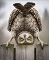 1000044014.webp