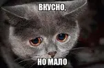1789111718942.webp