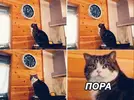 e09f60b47fc929152c8fd3806ebed28a.webp