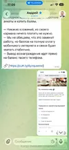 3.webp