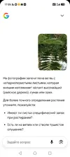 Screenshot_20260916_170514_com_google_android_googlequicksearchbox_LensExportedAct.webp