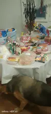 IMG_20260918_184042_900.webp