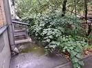 20260923_144654.webp 20260923_144654.webp