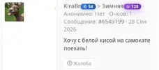 1000074218.webp