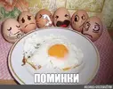 1790850308787.webp