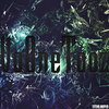 titormipeed.webp
