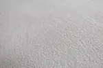 DSCF6347.webp