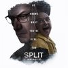 split_poster-744x744[1].jpg