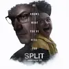 split_poster-744x744[1].webp