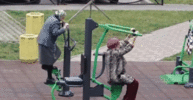 IMG_2583.gif