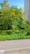 1000129147.webp