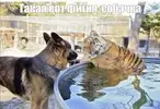 1791693534306.webp