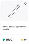 new_Палки_для_скандинавской_ходьбы_3870_2026-10-12_16-32-30.webp