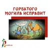 1791812985621.webp