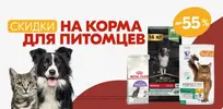 Сниgghмок.webp