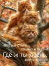 IMG_20261017_060647_707.webp