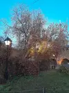 20261025_172036.webp