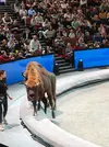 IMG20261029181254.webp