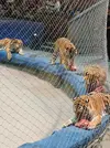 IMG20261029202606.webp