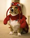 344.webp