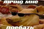 cHHMmKgmfL4.webp