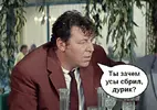 10535449[1].webp