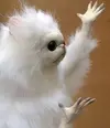 145587672016111043.webp 145587672016111043.webp