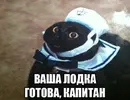 кэп.webp