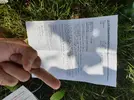 20190808_115356.webp