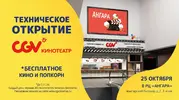 mOPuwXWIbZ4.webp