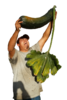 zuccini.png