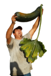 zuccini.webp