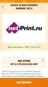 8.webp