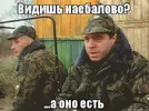 y0f7o7.jpg.webp