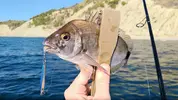 e83b8f1b81ab.webp