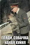 1274628541957.webp
