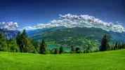 1304237864_0003_www.nevseoboi.com.ua.webp