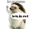 ионекиш.webp