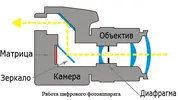 rabota.webp