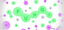 header.webp
