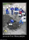 156028_original.webp