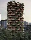 trees-toronto-03.webp